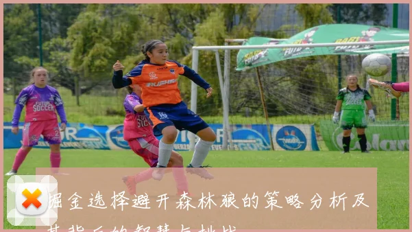 掘金选择避开森林狼的策略分析及其背后的智慧与挑战
