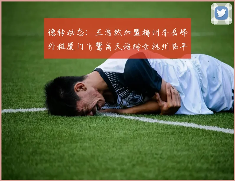 德转动态：王浩然加盟梅州李岳峰外租厦门飞鹭高天语转会杭州临平吴越